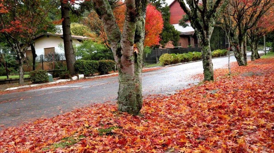 Apartamento Familia Sirangelo Gramado Esterno foto
